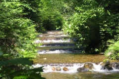 spawning-channel