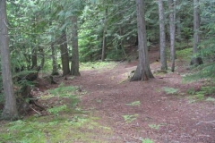 trail